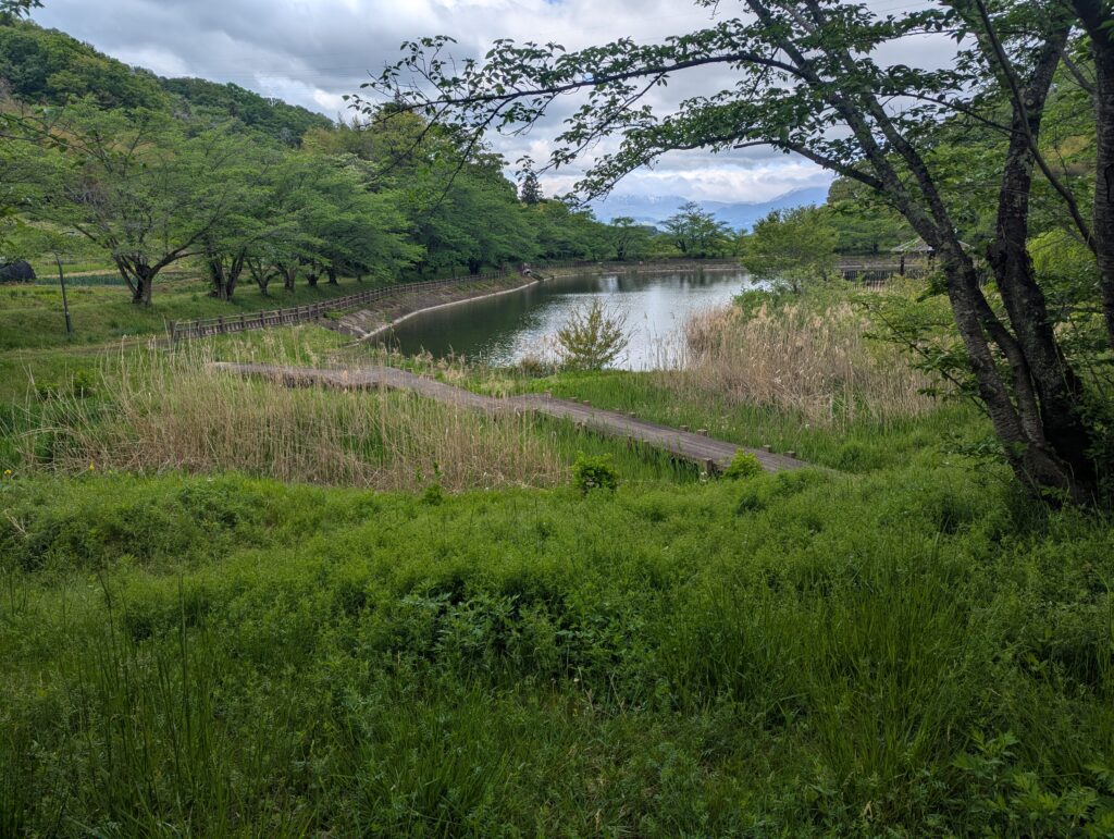 茶屋沼