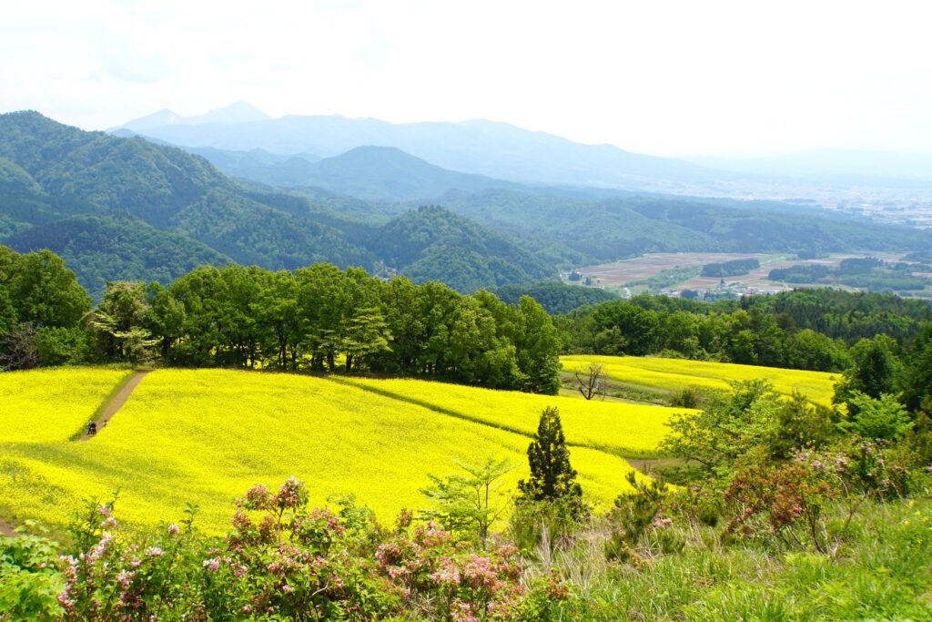 三ノ倉高原