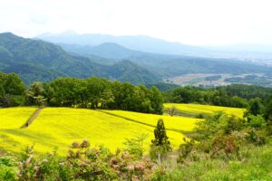 三ノ倉高原